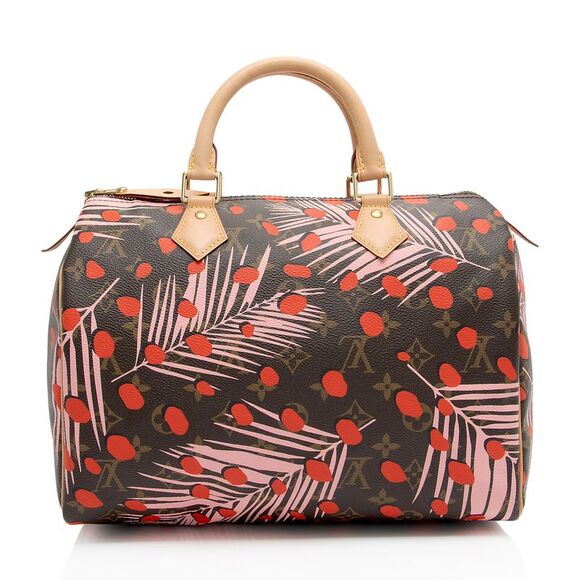 Louis Vuitton Limited Edition Monogram Canvas Jungle Dots Speedy 30 Satchel - Picture 3 of 16